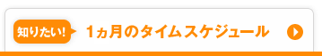 �m�肽���I1�����̃^�C���X�P�W���[��