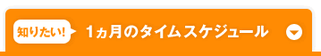 �m�肽���I1�����̃^�C���X�P�W���[��