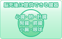 提供できる臓器（脳死）