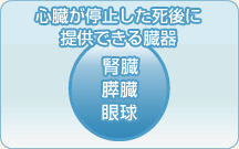提供できる臓器（心停止）