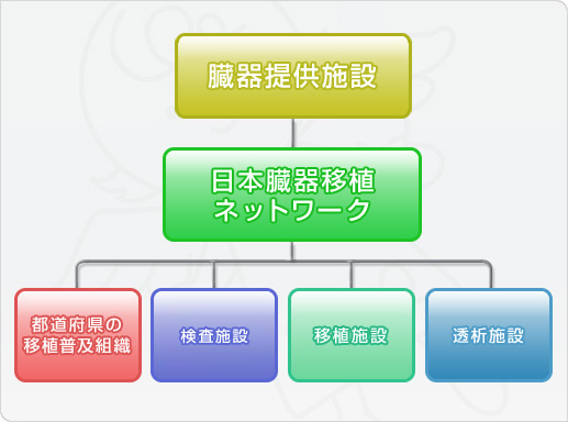臓器提供施設　日本臓器移植ネットワーク　都道府県の移植普及組織　HLA検索施設　移植施設　透析施設