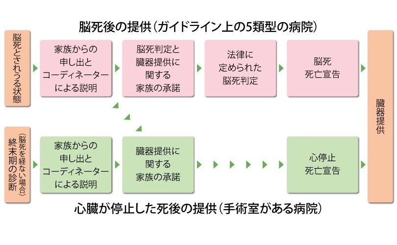 [�}��]�]����̒񋟂ƐS��~��̒�