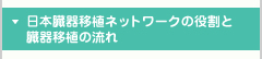 ���{����ڐA�l�b�g���[�N�̖����Ƒ���ڐA�̗���