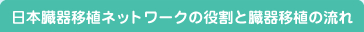 ���{����ڐA�l�b�g���[�N�̖����Ƒ���ڐA�̗���