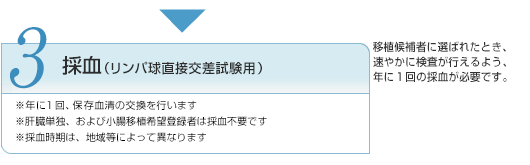 3 採決（リンパ球直接交差試験用）　※年に1回、保存血清の交換を行います　※肝臓、および小腸移植希望登録者は採血不要です　※採血時期は、地域等によって異なります