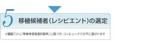 5 移植候補者（レシピエント）の選定